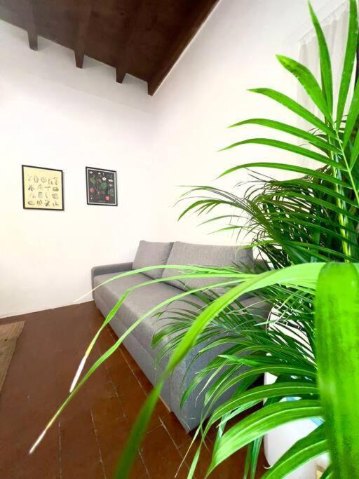 Casa Centro Firenze Wi Fi Aria Condizionata Netflix Florença Exterior foto